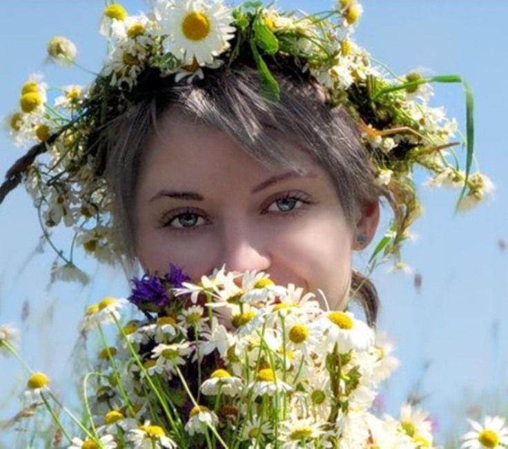 Ромашка полевая шуточный стих