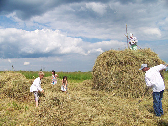 Сенокос
