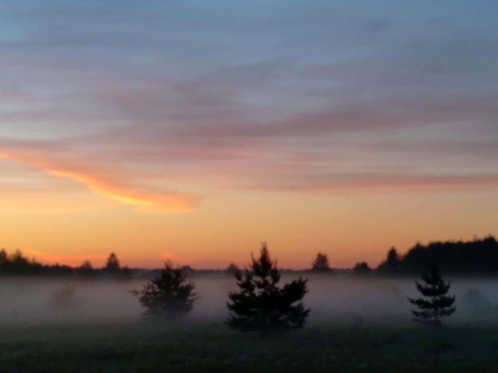 Проза. Туман (Олька Веснина) / Стихи.ру