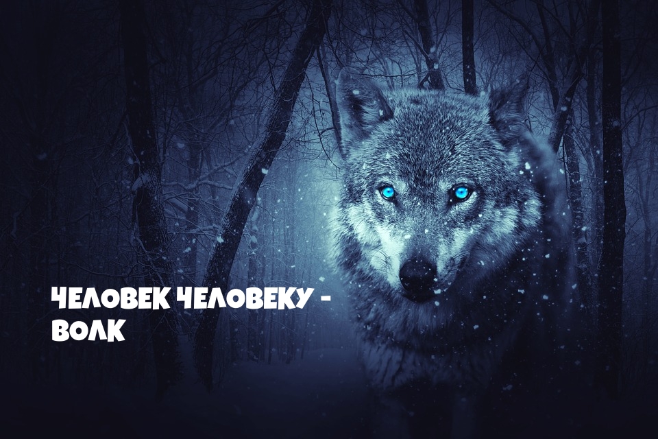 Человек Человеку - волк