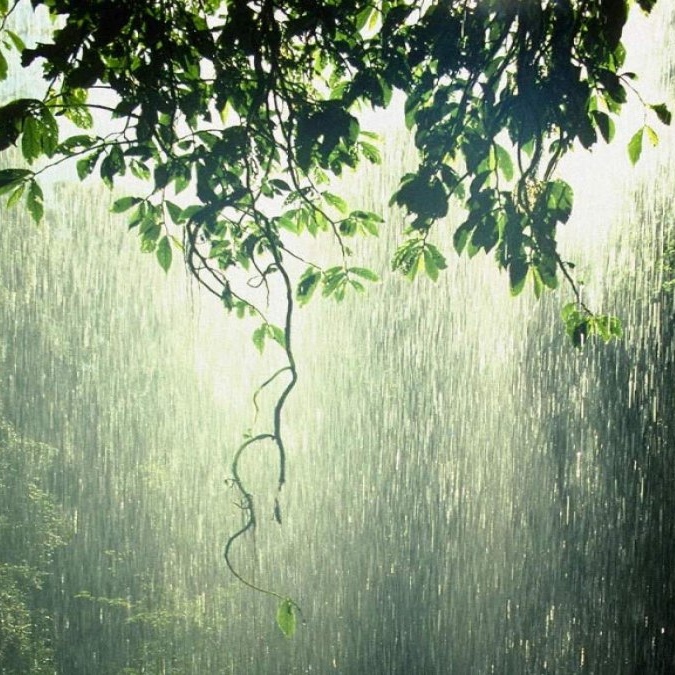 Дождливый день. Дождь стеной. Дождливое лето. Красивый дождь. Проливной дождь.