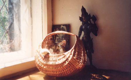 Жизнь успевает поразвлечь