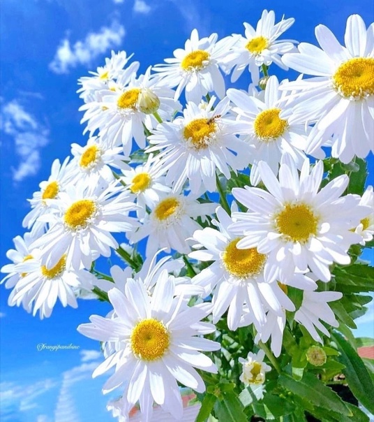 Благодарю. Акро