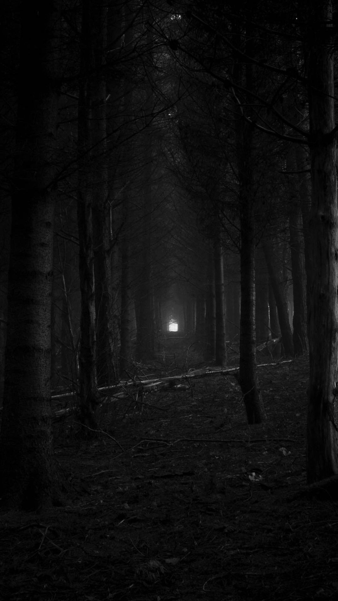 Лес оттенки серого. Страшный лес. Что такое темные места. Мрачный пейзаж. Мрачный особняк.