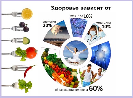 Устрани здоровья брешь это выпей это съешь?