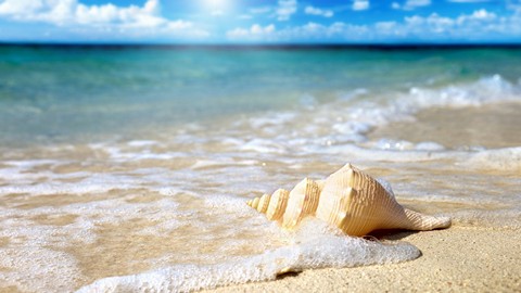 Где-то море грустит обо мне