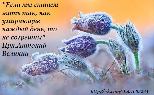 Пойдем и мы умрем вместе с Ним