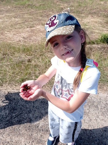 Бабочка-сказочка