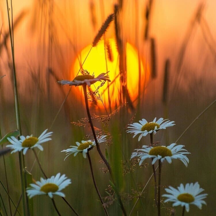 Tолько бы успеть!