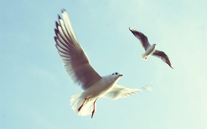 Наверное, тебе я не понравлюсь