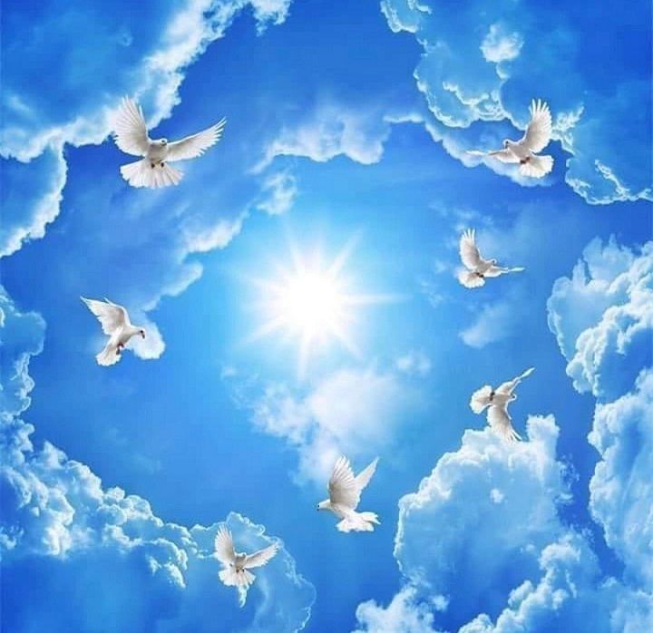 В Небеса Твои хочу взлететь, о, Боже! (Раиса Дорогая) / Стихи.ру