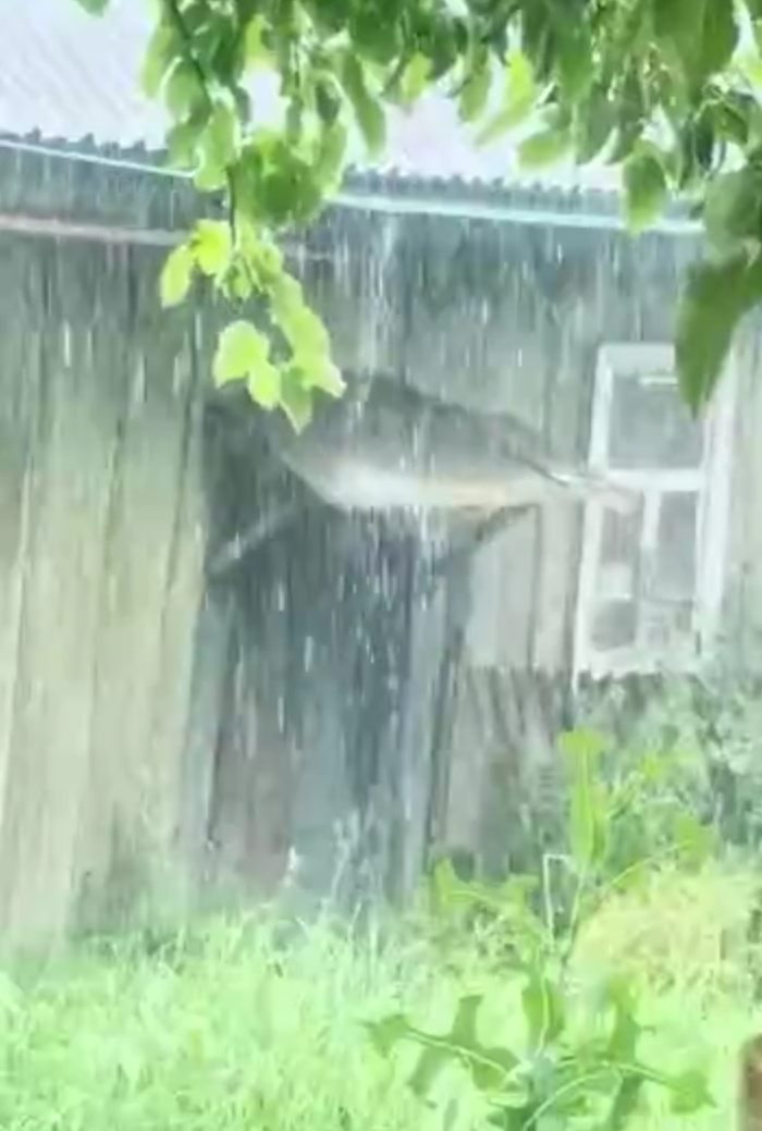 Свинцовые тучи намокли дождём