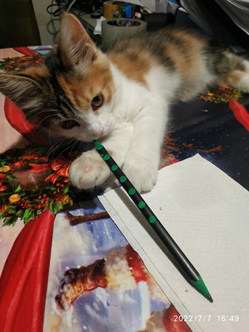 Картина на заказ