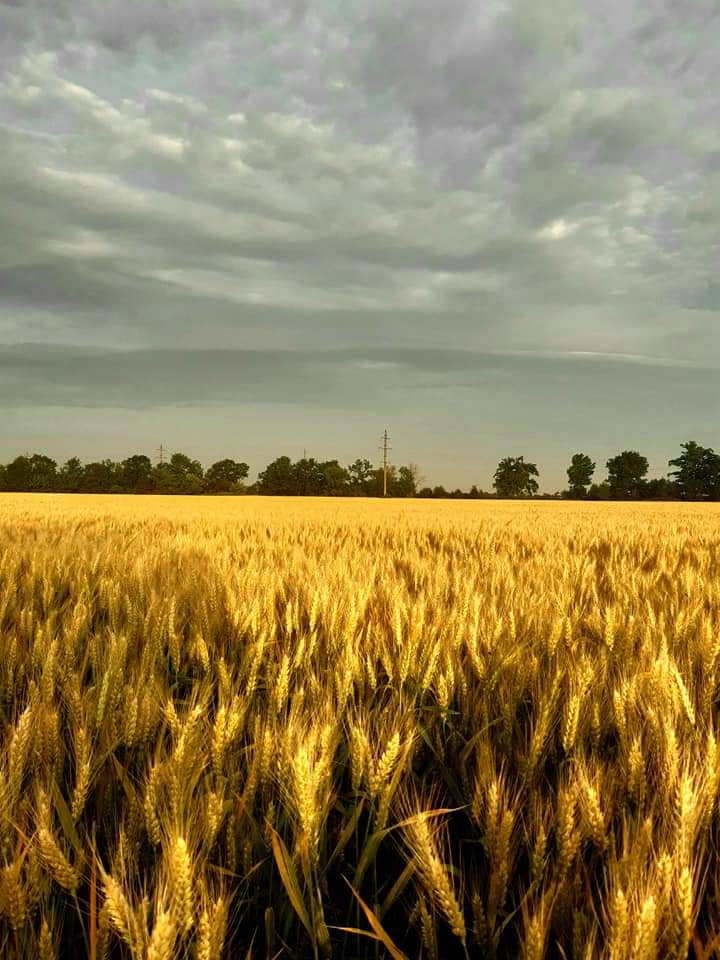 Люблю тебе я Украина