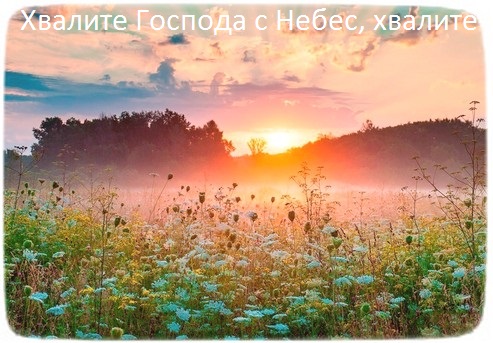 О лете прекрасном короткой строкой