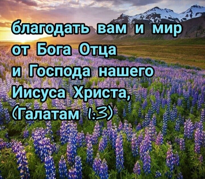 Благословляю вас на все четыре. Благословляю вас на все четыре стороны картинки. Благословляю вас на все 4 стороны. Благословляю вас. Стихотворение Благословляю вас на все четыре стороны.