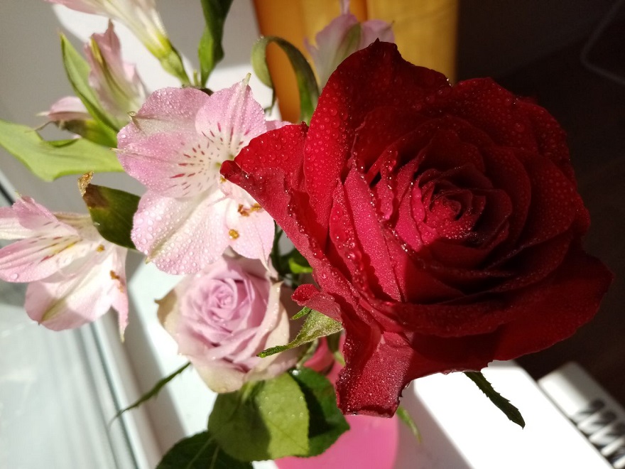 Что бы я у Бога попросила