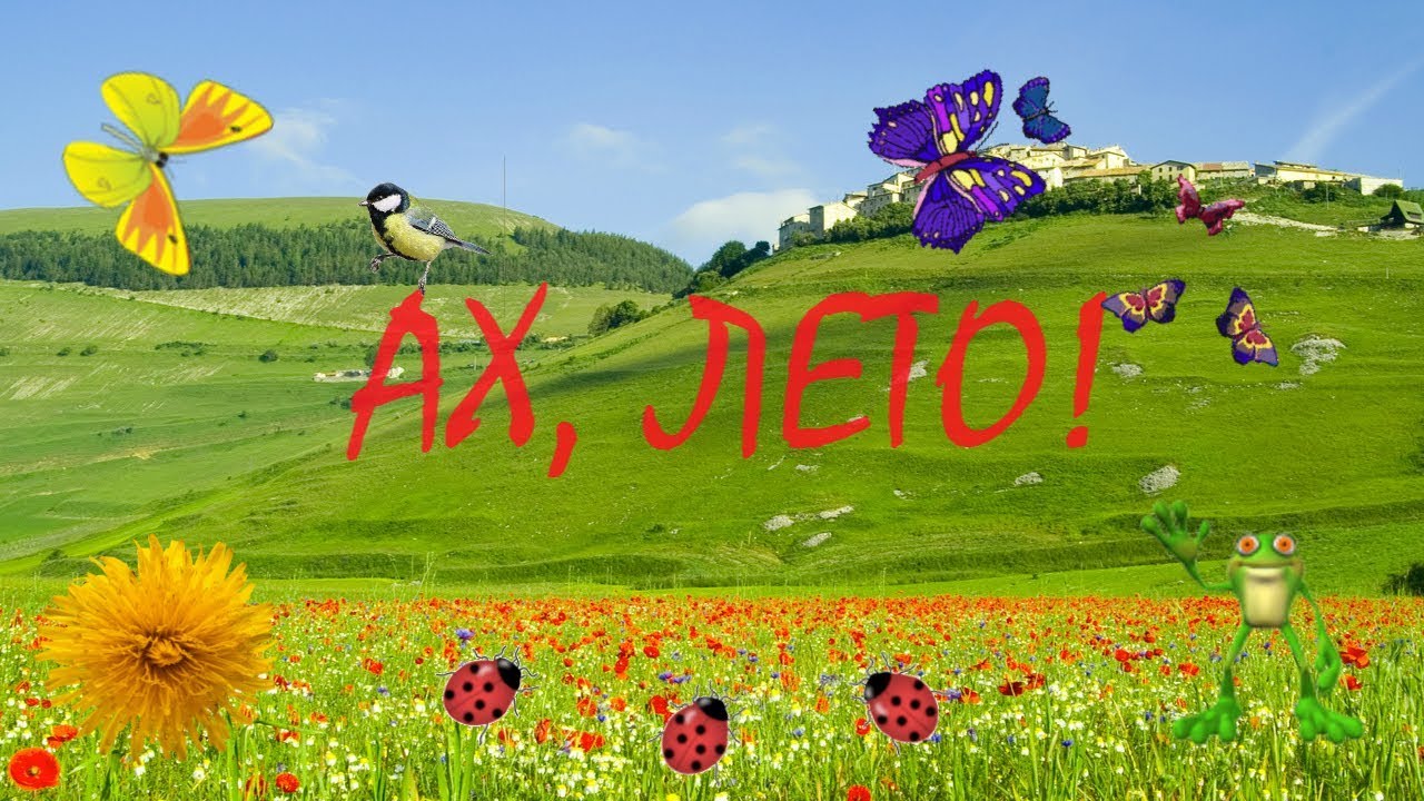 Краски лета