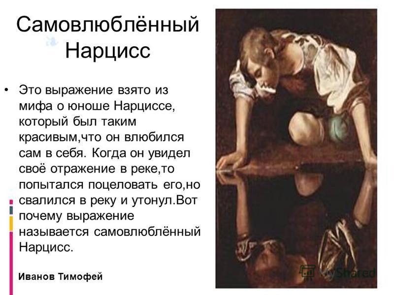 Нарцисы