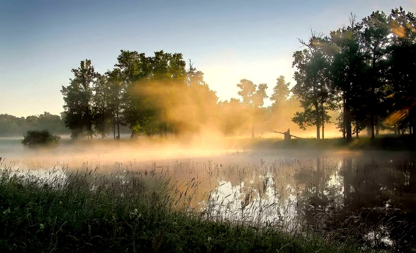 Раннее летнее утро в воздухе впр. Желнино дубовая роща. Туман Эстетика деревня. Деревня Дымково в тумане. Туманное утро в деревне.