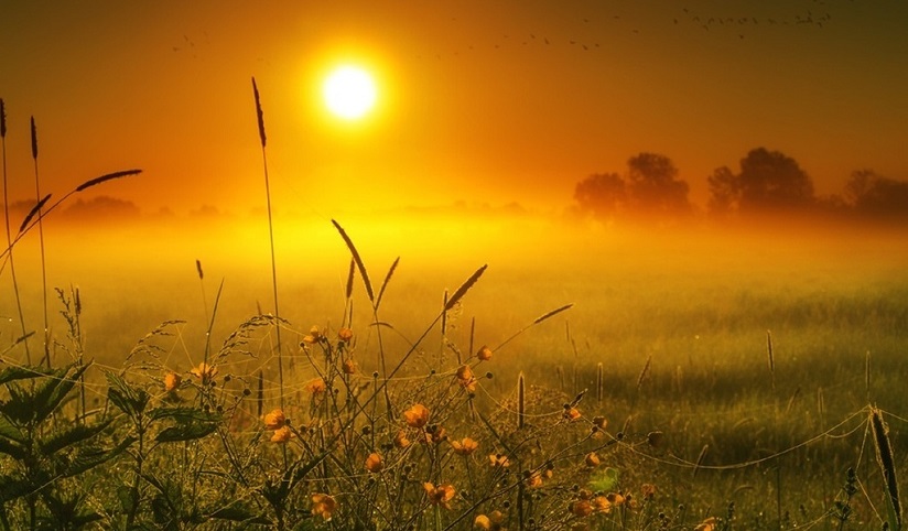 У августа другое солнце