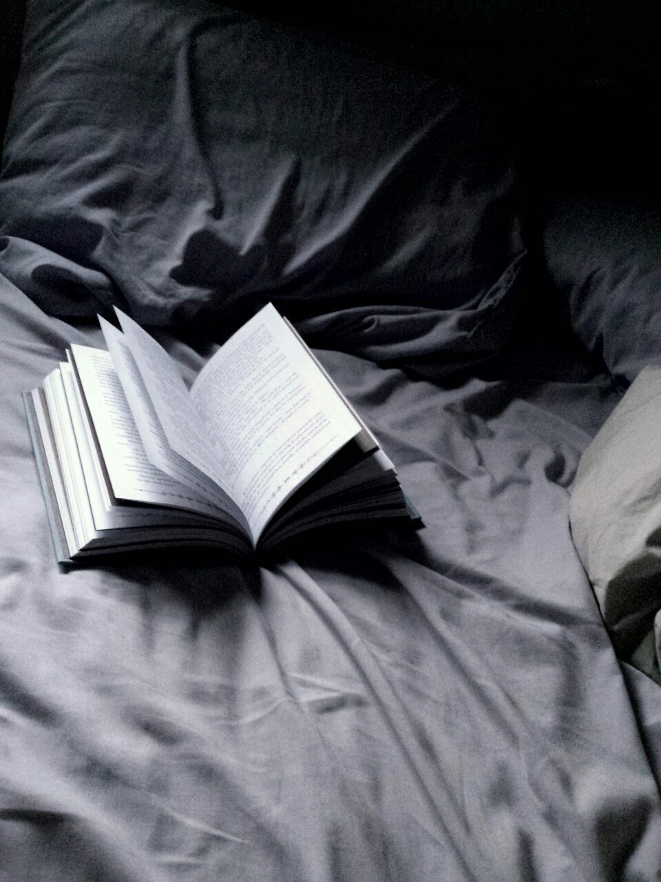 Книга в постели