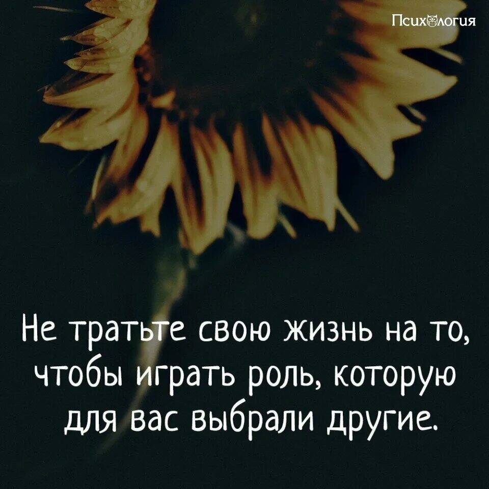 Не трать еще один год на тоже самое картинка