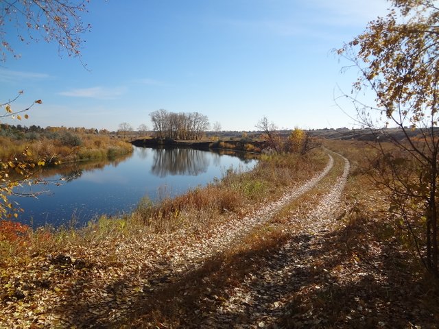 Судьба владеет козырной и нужной мастью!