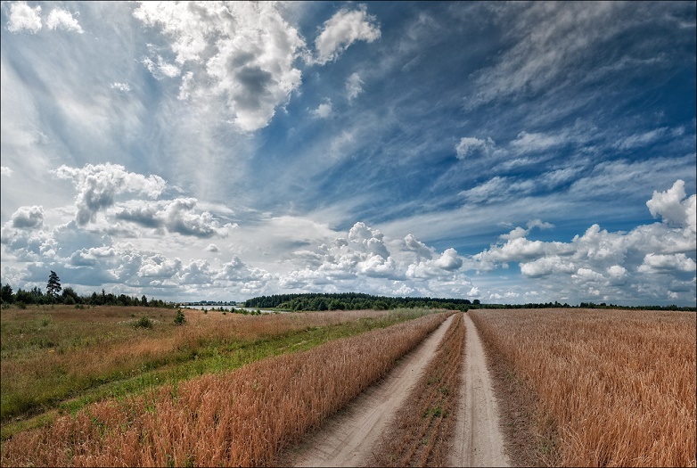 Что для нас слова про честь и совесть