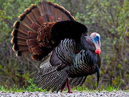 Переобувшемуся в прыжке