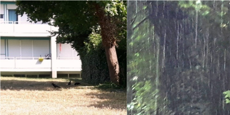 Как хочется хорошего дождя!