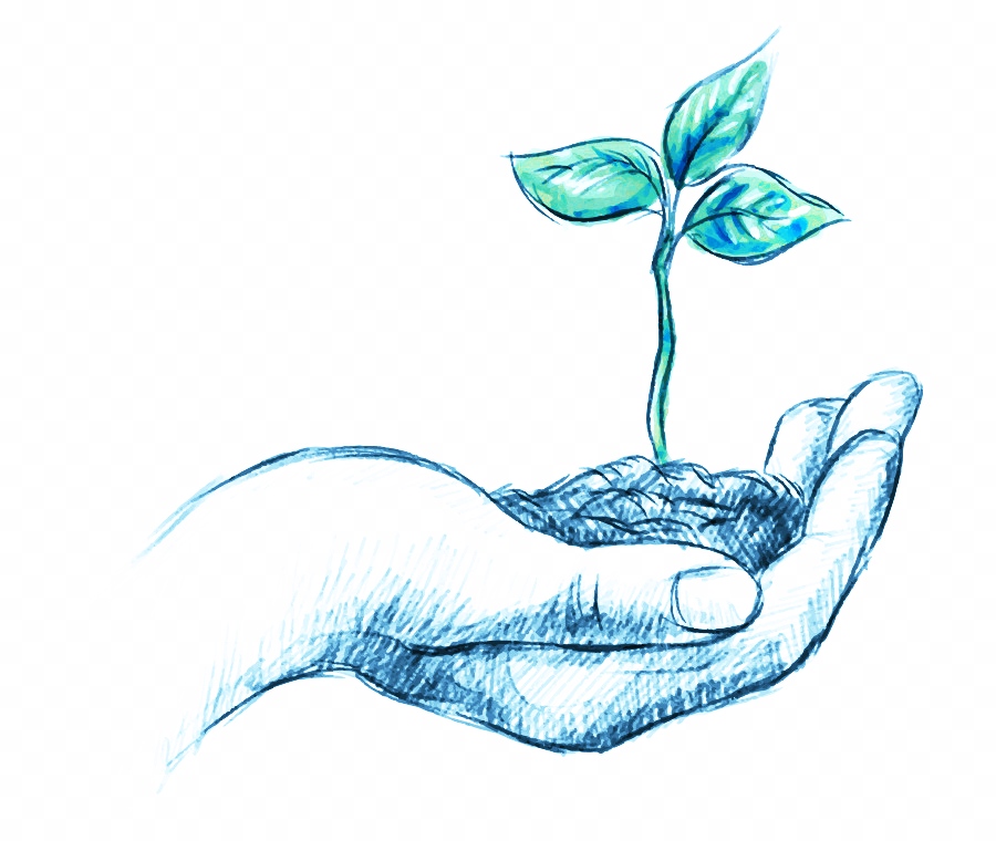Росток в руке рисунок