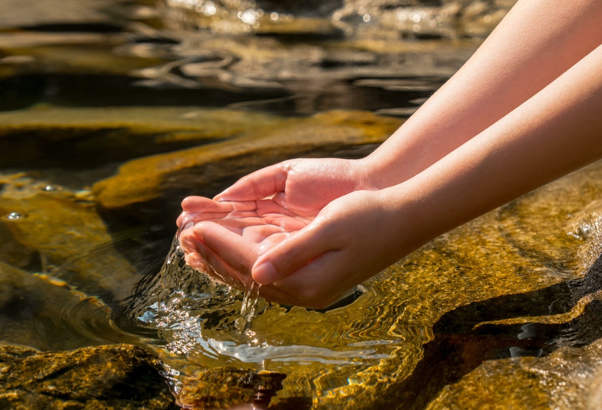 Не расплескать мечты...