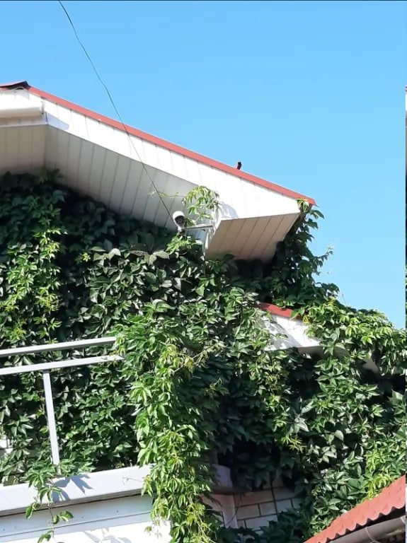 Мой Дом, надежный и уютный...