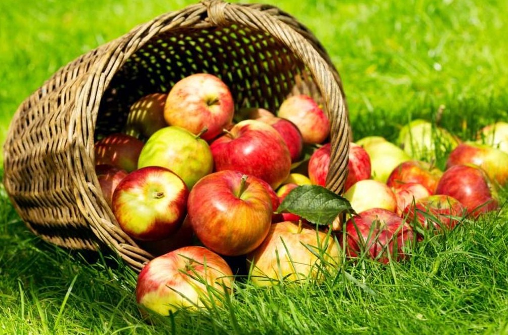 Август. Подборка Акростихов