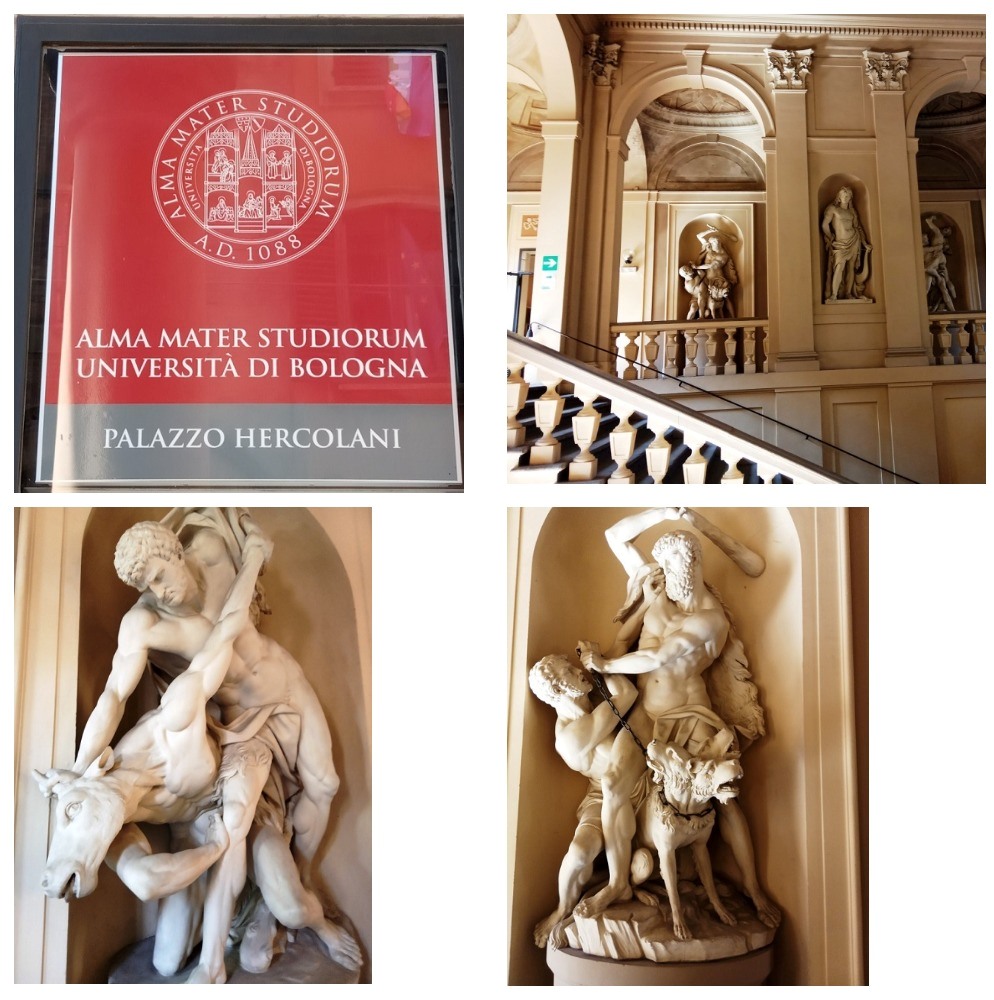 Болонья. Университет