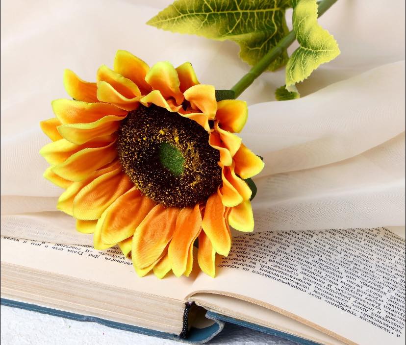 Не получилась завязь у цветка