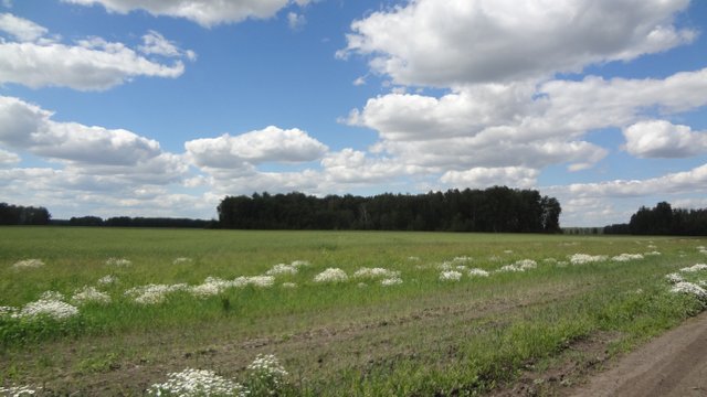 Природа дарит счастье повторенья