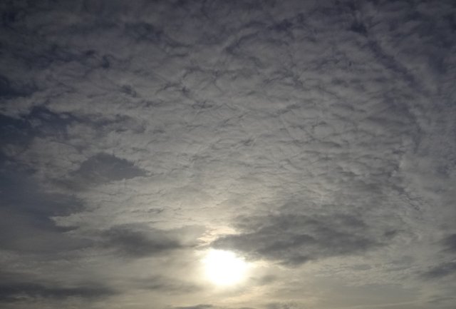 Появляется виденье