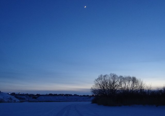 Ночь под звездами хрустальными