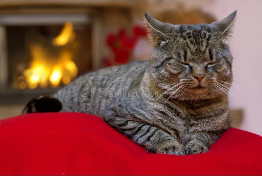 Пришла пора снимать свои