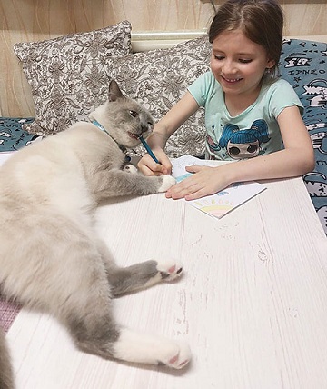 Хочу рисовать