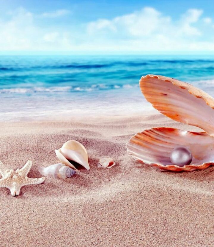 Всему своё время