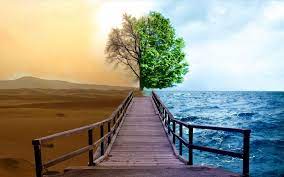 Браконьеры