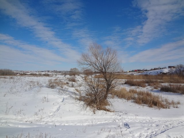 Жизнь, судьба