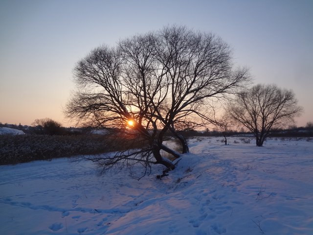 Танцуй со мною до конца любви