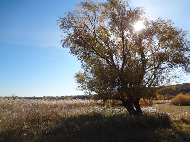Я наложил на тебя заклятие