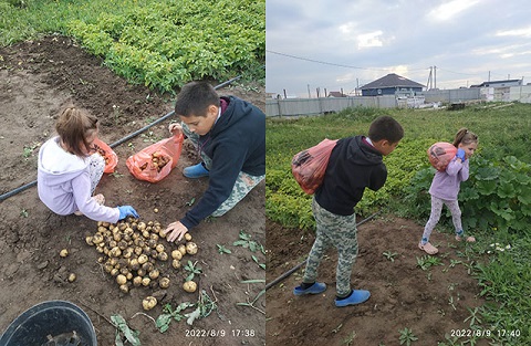 Богатый урожай