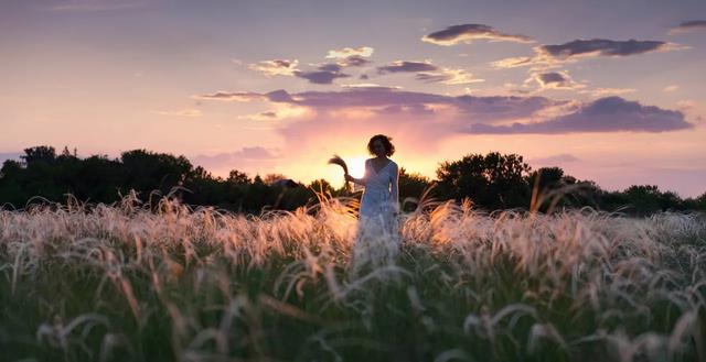 Ни с чем не сравнить