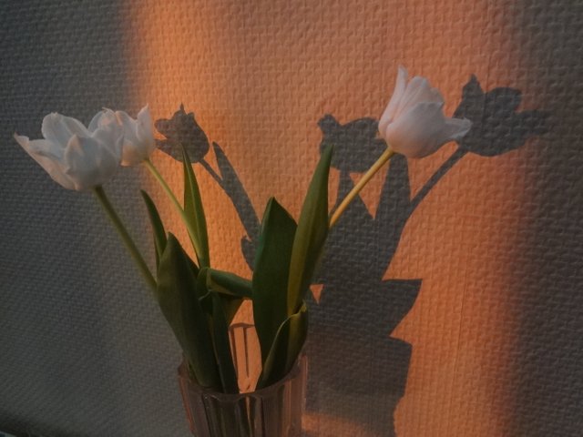 Весна. Лестница в небо